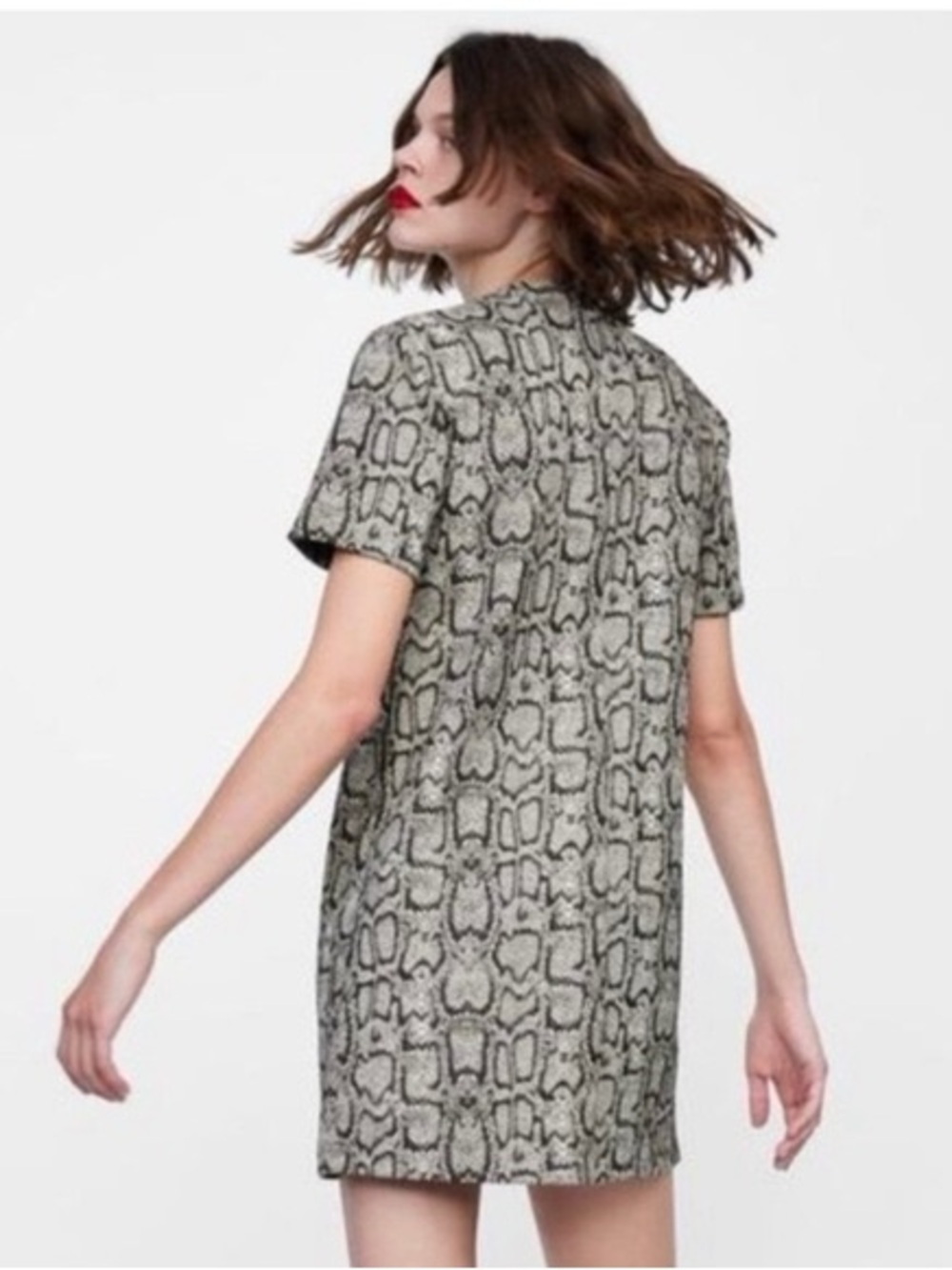 Zara Snake Print Shift Dress Mini Short Sleeve Neutral Animal Print size small - Picture 2 of 6